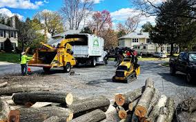 Lawn Pest Prevention in Weaverville, CA