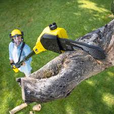 Best Tree Removal  in Weaverville, CA